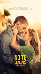 Reminders of Him Poster