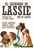Son of Lassie - Spanish DVD movie cover (xs thumbnail)