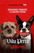 Strays - Spanish Movie Poster (xs thumbnail)