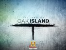 &quot;The Curse of Oak Island&quot; - Video on demand movie cover (xs thumbnail)