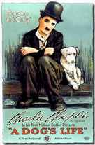 A Dog&#039;s Life - Movie Poster (xs thumbnail)