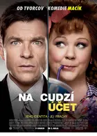 Identity Thief Poster