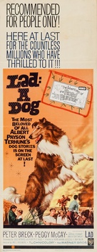 Lad: A Dog - Movie Poster (xs thumbnail)