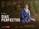 Perfect Days - Argentinian Movie Poster (xs thumbnail)