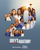 &quot;Grey&#039;s Anatomy&quot; - Indian Movie Poster (xs thumbnail)