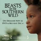 Beasts of the Southern Wild - Video release movie poster (xs thumbnail)