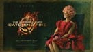 The Hunger Games: Catching Fire - Norwegian Movie Poster (xs thumbnail)