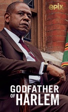 &quot;The Godfather of Harlem&quot; - Video on demand movie cover (xs thumbnail)