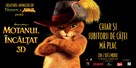 Puss in Boots - Romanian Movie Poster (xs thumbnail)