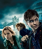 Harry Potter and the Deathly Hallows - Part 1 -  Key art (xs thumbnail)