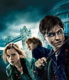 Harry Potter and the Deathly Hallows: Part I -  Key art (xs thumbnail)