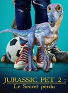 The Adventures of Jurassic Pet: The Lost Secret - French Video on demand movie cover (xs thumbnail)