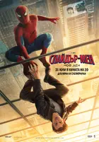 Spider-Man: Brand New Day Poster