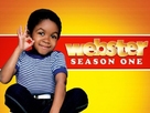 &quot;Webster&quot; - DVD movie cover (xs thumbnail)
