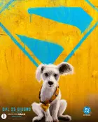 Supergirl Poster