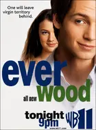 "Everwood" Poster