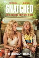 Snatched - South African Movie Poster (xs thumbnail)