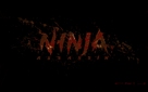 Ninja Assassin - Logo (xs thumbnail)