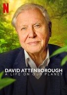 David Attenborough: A Life on Our Planet - British Video on demand movie cover (xs thumbnail)