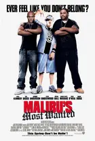 Malibu's Most Wanted Poster