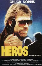Hero and the Terror Cover