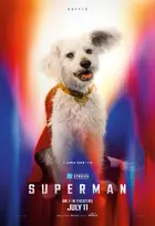 Superman Poster
