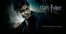 Harry Potter and the Deathly Hallows: Part I - French Movie Poster (xs thumbnail)