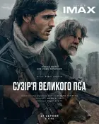 The Dog Stars Poster