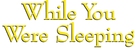 While You Were Sleeping - Logo (xs thumbnail)