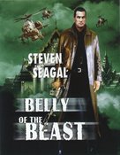 Belly Of The Beast - DVD movie cover (xs thumbnail)