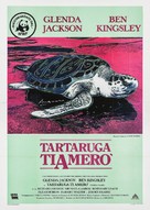 Turtle Diary - Italian Movie Poster (xs thumbnail)