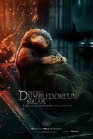 Fantastic Beasts: The Secrets of Dumbledore - Turkish Movie Poster (xs thumbnail)