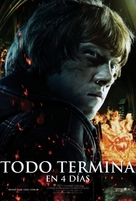 Harry Potter and the Deathly Hallows - Part 2 - Argentinian Movie Poster (xs thumbnail)