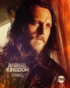 "Animal Kingdom" Other