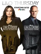 "Law & Order: Special Victims Unit" Poster