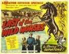 Last of the Wild Horses - Movie Poster (xs thumbnail)