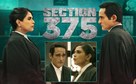 Section 375 - Indian Movie Poster (xs thumbnail)