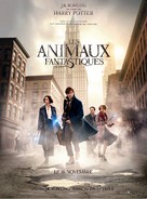 Fantastic Beasts and Where to Find Them - French Movie Poster (xs thumbnail)