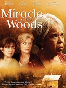 Miracle in the Woods - Movie Cover (xs thumbnail)