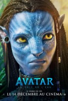 Avatar: The Way of Water - French Movie Poster (xs thumbnail)