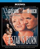 A Star Is Born - Blu-Ray movie cover (xs thumbnail)