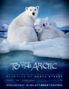 To the Arctic 3D - Movie Poster (xs thumbnail)
