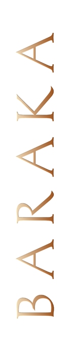 Baraka - Logo (xs thumbnail)