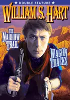 The Narrow Trail - DVD movie cover (xs thumbnail)