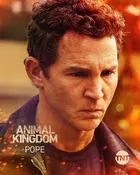 "Animal Kingdom" Other
