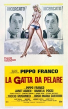 La gatta da pelare - Italian Theatrical movie poster (xs thumbnail)