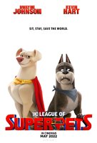 DC League of Super-Pets - Indian Movie Poster (xs thumbnail)