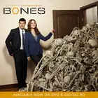 "Bones" Poster