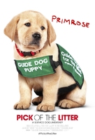 Pick of the Litter - Movie Poster (xs thumbnail)
