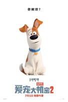 The Secret Life of Pets 2 - Chinese Movie Poster (xs thumbnail)